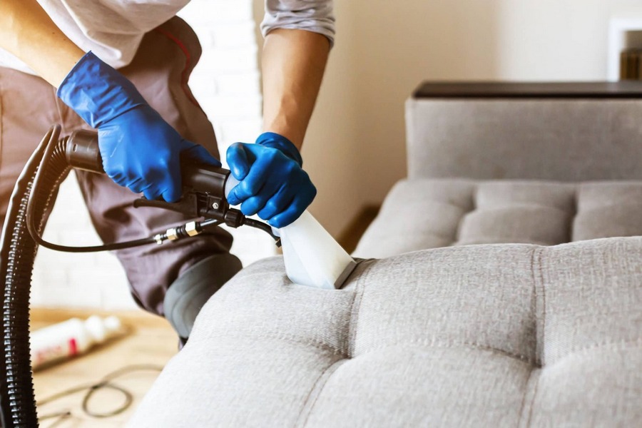 Understanding the Process: What to Expect from a Professional Sofa Cleaning Service